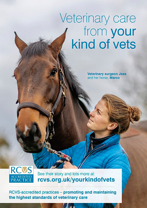 Your kind of vets poster a vet and her horse